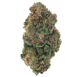 Purple Kush (Indica)
