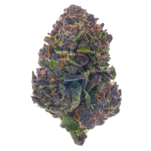 Blue Cheese (Indica)