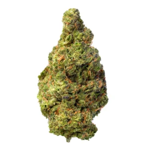 Dosidos (Hybrid)